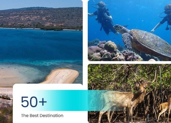 Menjangan-Island-Trip-profile