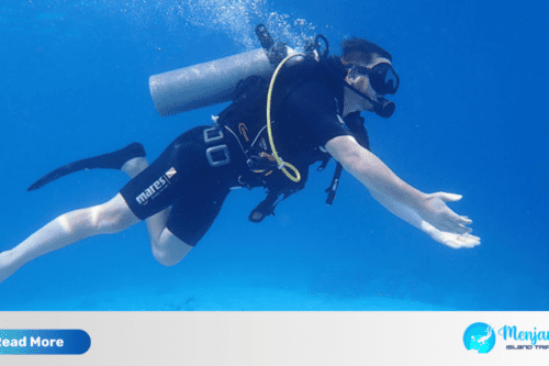 Menjangan Island Tour