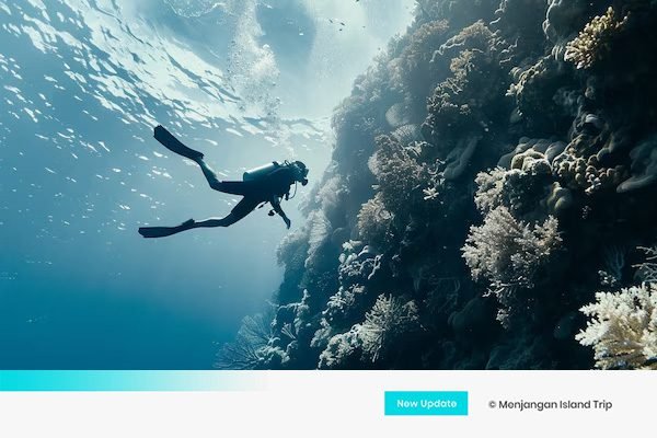 diving menjangan island