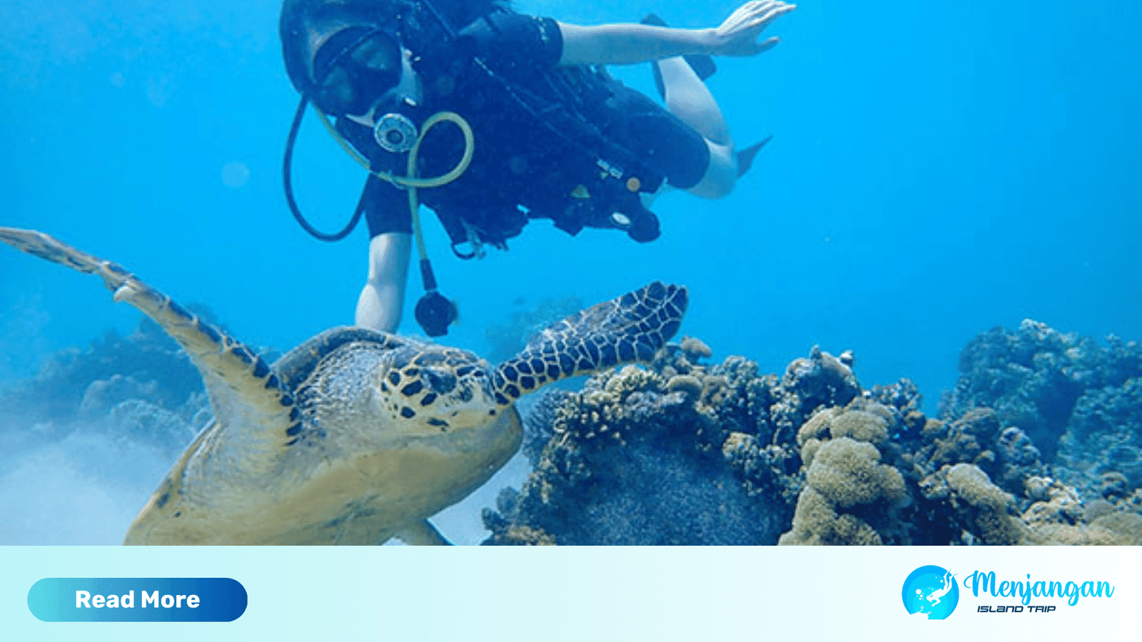 Snorkeling Menjangan Island