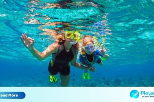 Menjangan Island Snorkeling