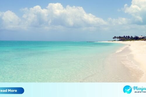 Menjangan Island Tour Bali