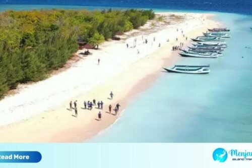 Menjangan Island Diving