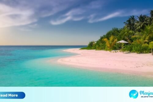 Menjangan Island travel guide