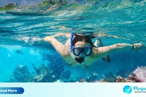 bali national park snorkeling menjangan