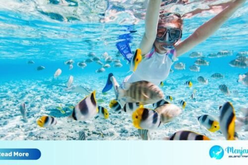 snorkeling menjangan
