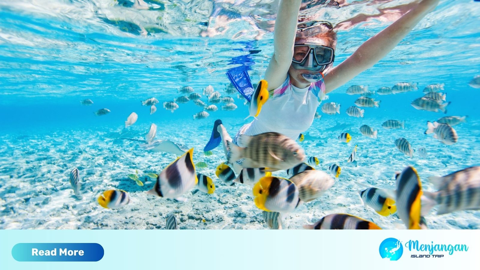 snorkeling menjangan