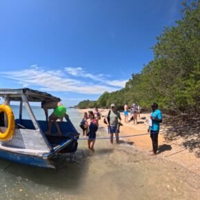 snorkeling menjangan island Menjangan island