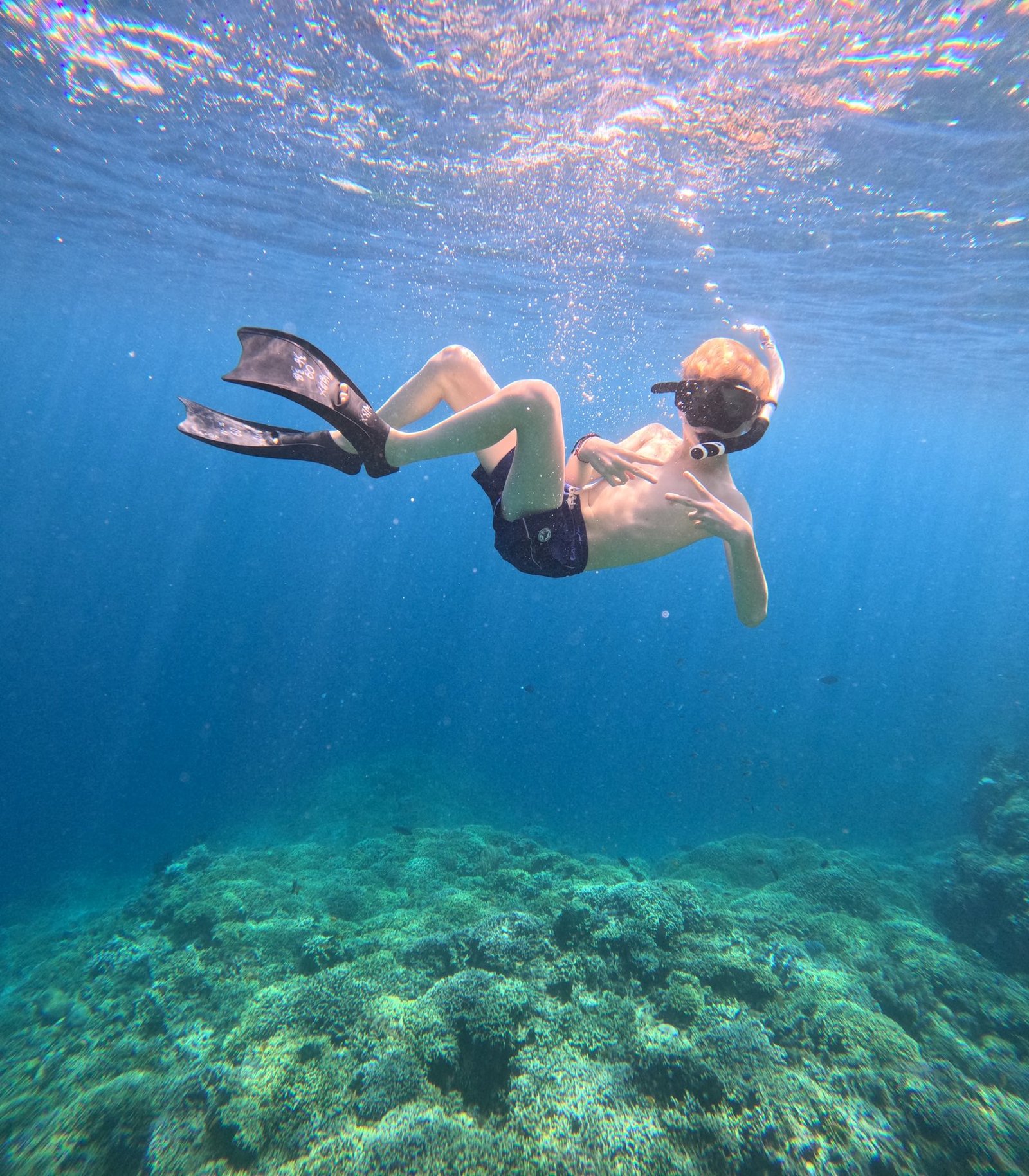 menjangan island diving