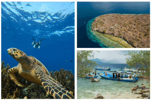 Menjangan Island