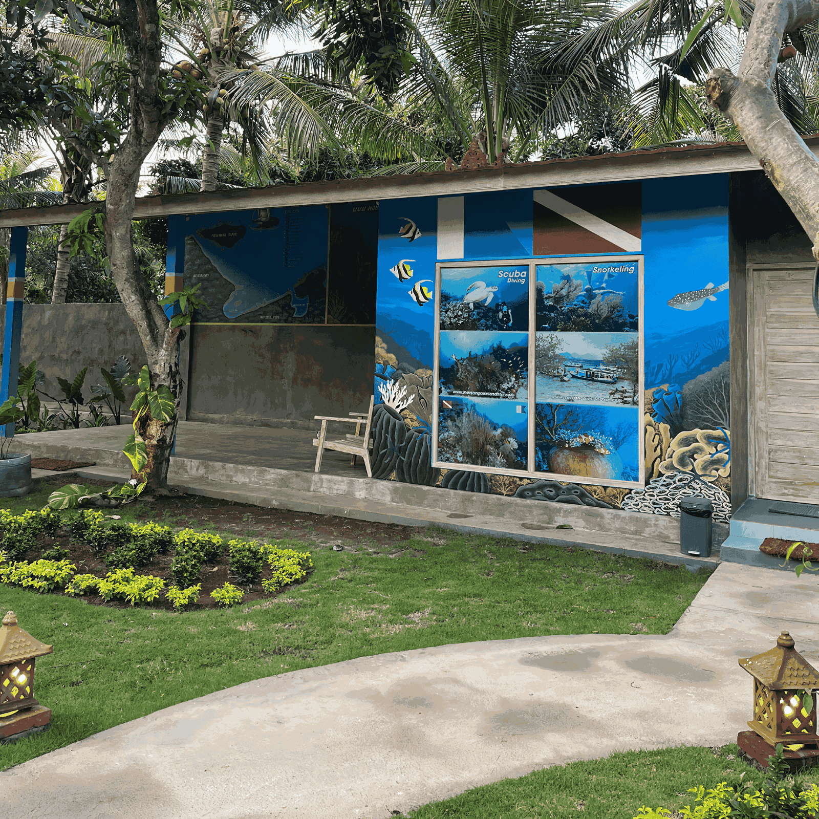 Menjangan Snorkeling Trip & Diving