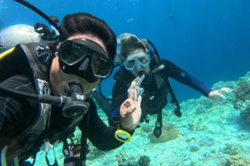 Best Time to Visit Menjangan Island