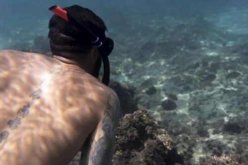 Underwater Visibility in Menjangan