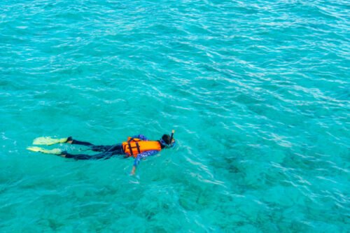 Menjangan Island Snorkeling