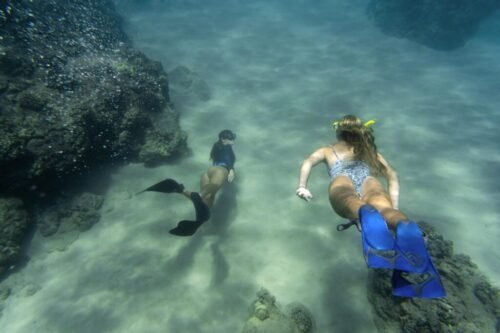 Divers exploring coral reefs in Menjangan vs Nusa Penida underwater comparison