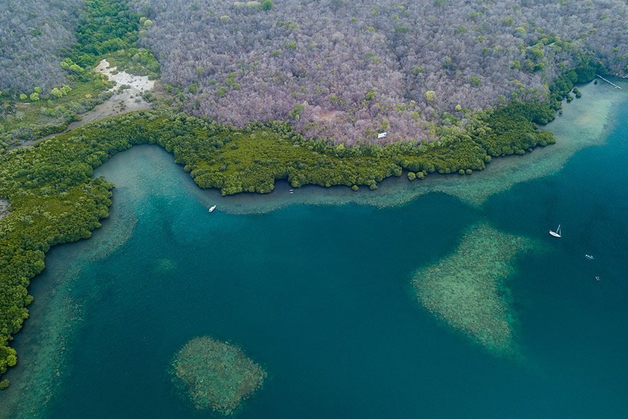 Mangrove channel at Banyuwedang Bay in the late afternoon