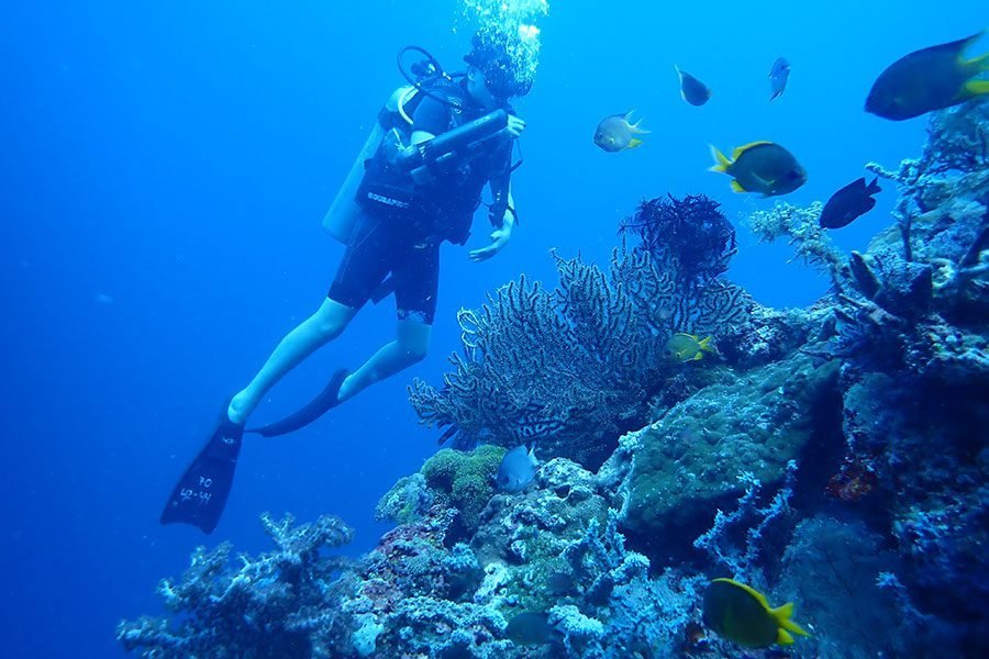 Diver along the coral wall at Menjangan Island