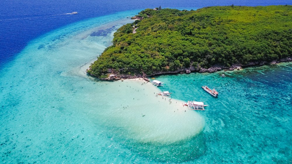Best Snorkeling Spots in Bali: A Full Island Comparison