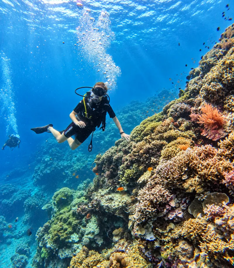 Diver descending along the reef wall with a second diver below at Menjangan Island