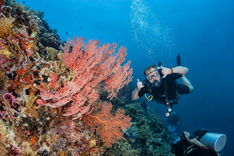 Diver giving the OK hand signal beside a red sea fan on a try scuba diving dive at Menjangan
