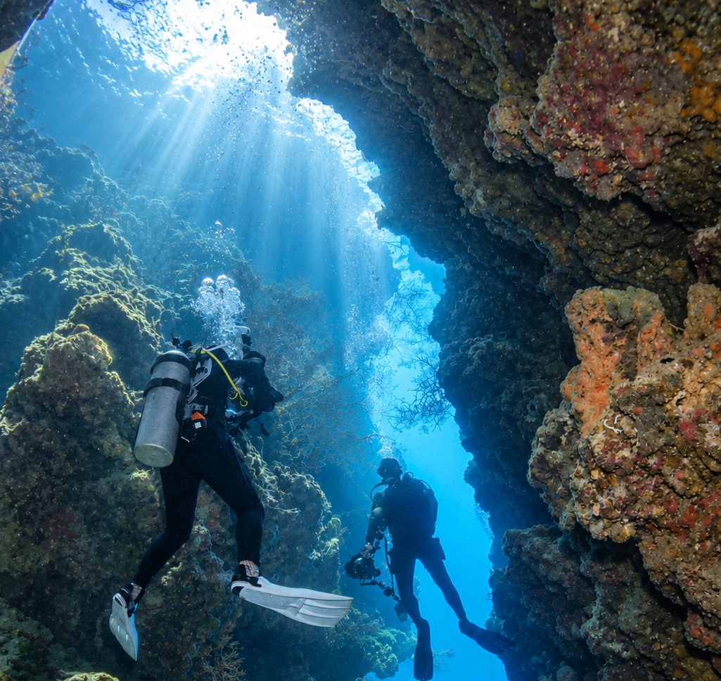Menjangan Dive Site Conditions: Depth & Current by Wall