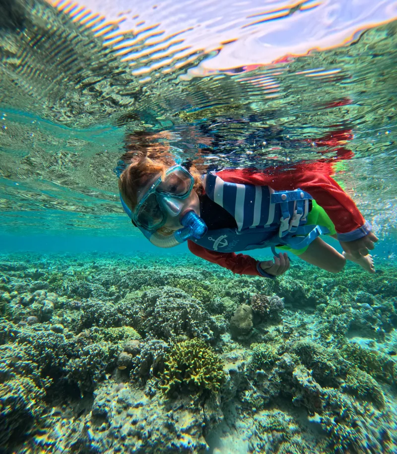 Child snorkeling at the surface above coral at Menjangan Island