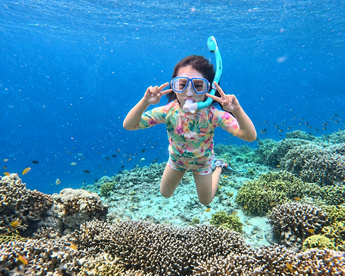 Shared vs Private Menjangan Snorkeling Tour: Which to Book